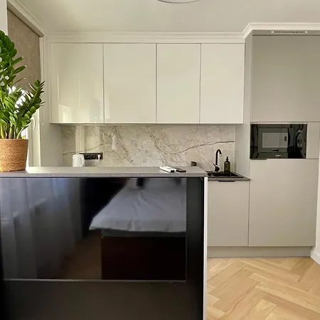 Appartement Nexiti - Centrum - Metro - Palace Of Culture - Philharmonic *