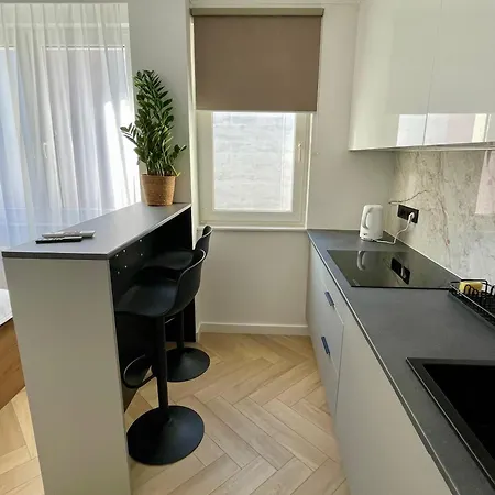 Nexiti - Centrum - Metro - Palace Of Culture - Philharmonic Appartement